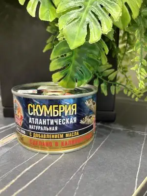 Скумбрия атлантическая натуральная с добавлением масла, ГОСТ,  240 г, ключ