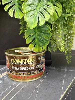 Скумбрия атлантическая бланшированная в масле  ГОСТ, 240 г, ключ